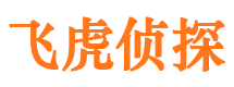 盐池市侦探调查公司